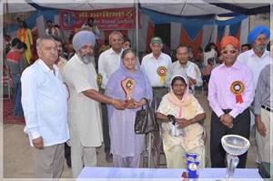 Ram Lila Welfare Committee